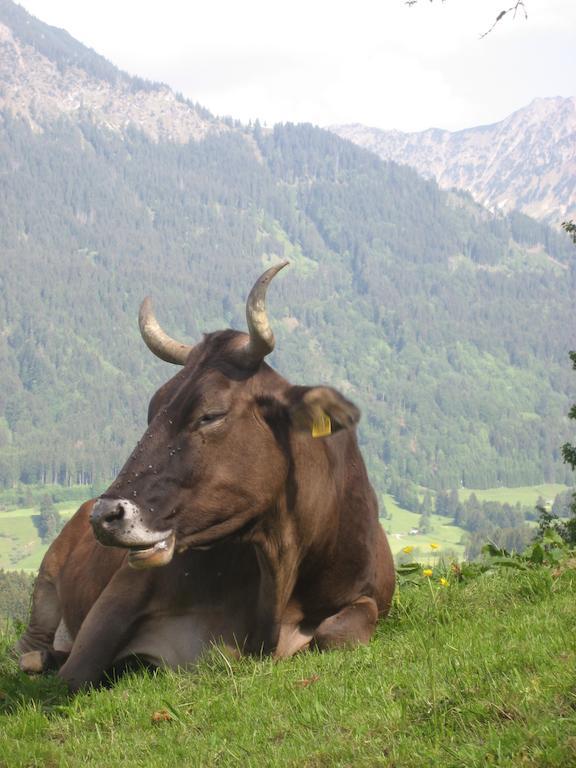 Ferienwohnungen Brunner Fischen im Allgaeu Exteriör bild